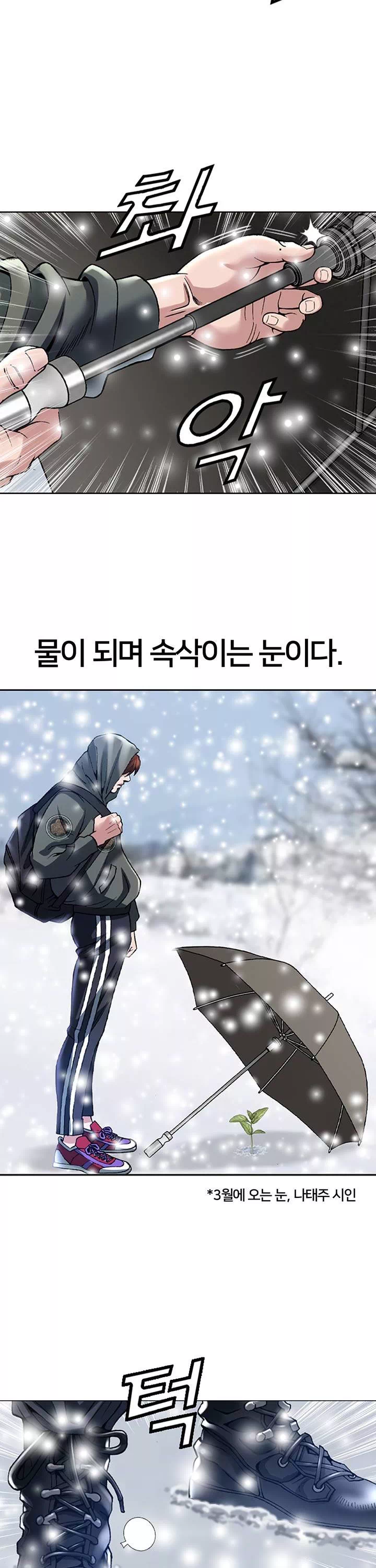 전국구 프롤로그 - 이미지 29